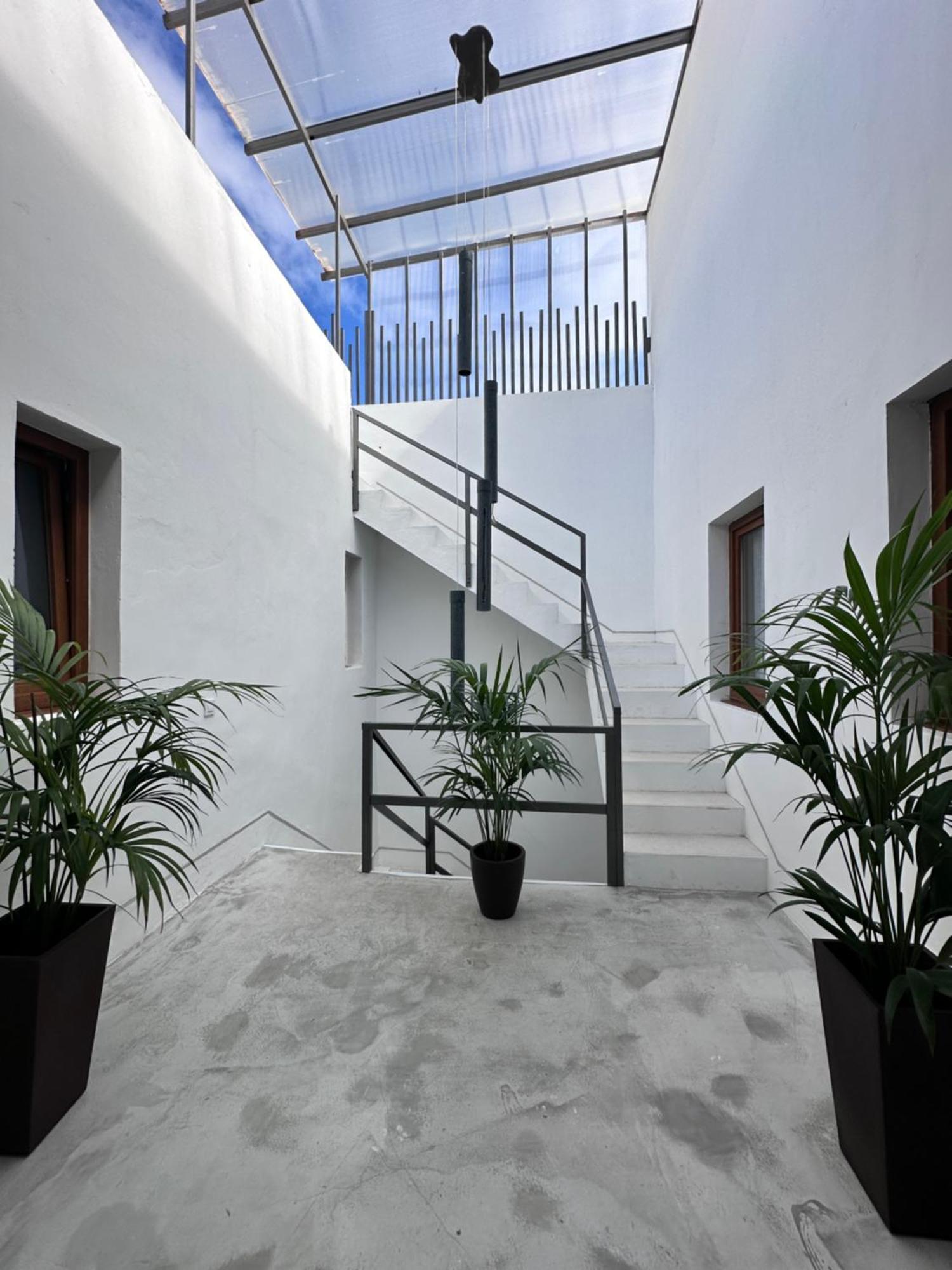 לוס סילוס Euphorbia Suites מראה חיצוני תמונה